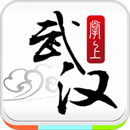 掌上武汉app