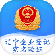 辽宁企业登记实名验证app