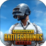 pubg绿体内透文件直装版安装包