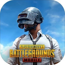 pubg国际服改文件绿体内透防封版