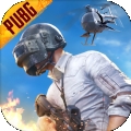 北辰pubg轻体直装v17美化包防封版